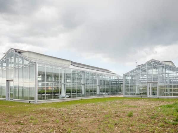 TAE agronov Bretenière serres SPLAAD